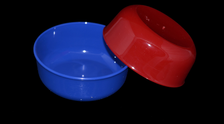 Dessert bowl